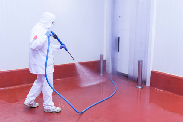 Best Post-Construction Pressure Washing  in Rockford, MI